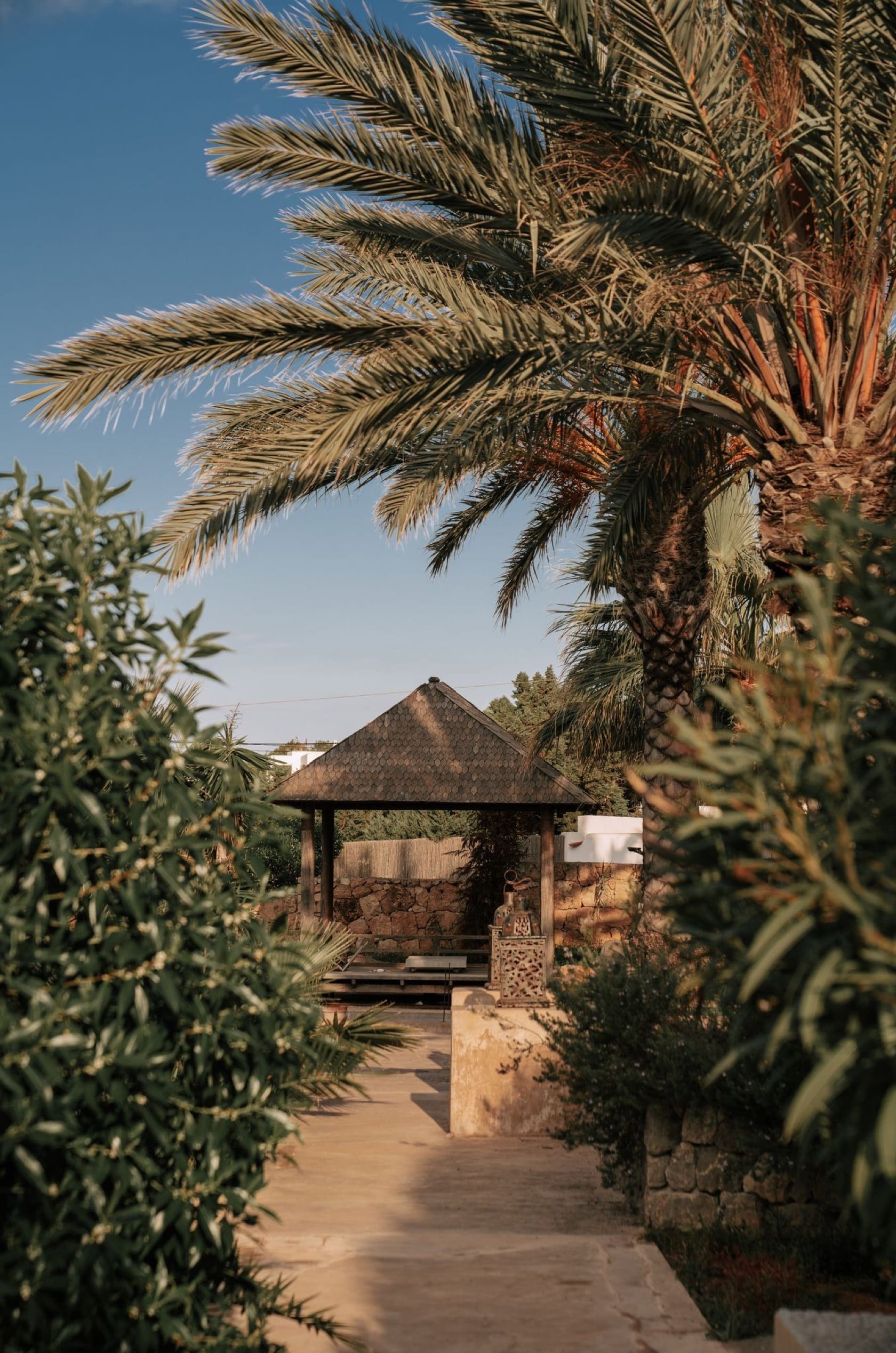 Saint & Sofia - Paradiso